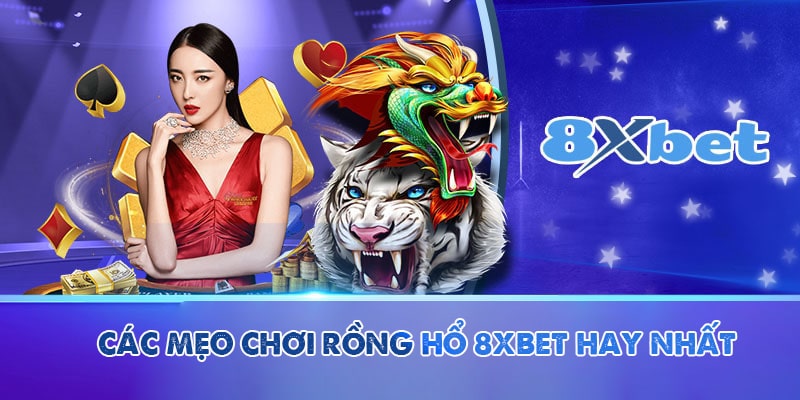 Các mẹo chơi rồng hổ 8XBET hay nhất